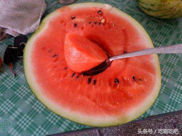 在网上吃瓜,揭秘虚拟世界的娱乐狂欢